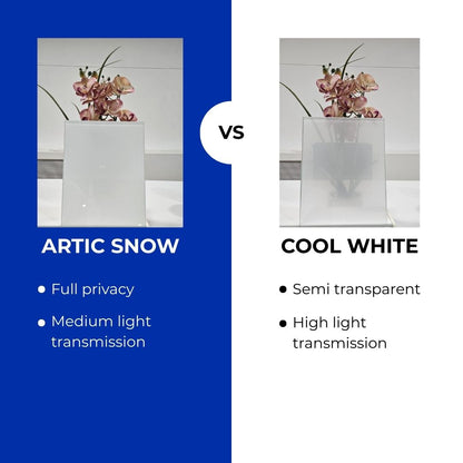 Dakraam Beloopbaar 100x200 Cool White - Semi transparant - Levertijd 3-6 weken van Premium Dakramen